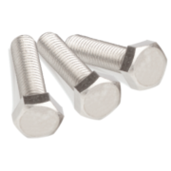 BULLONE TE MM.12X100 INOX A4