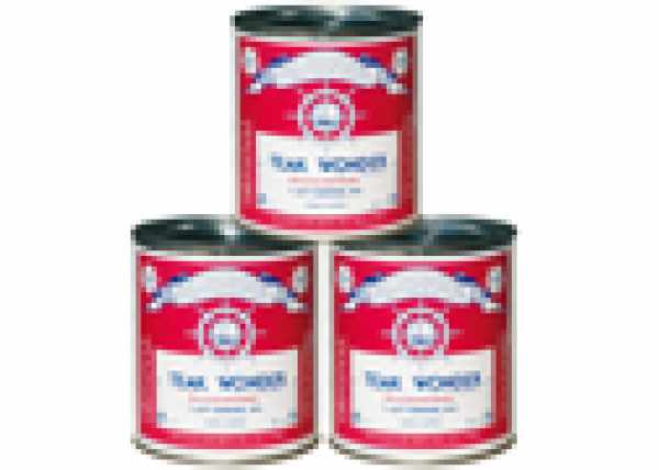 TEAK WONDER DRESSING AND SEALER LT.4
