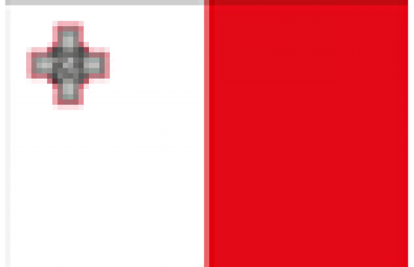 BANDIERA MALTA 20X30 IN STAMINA