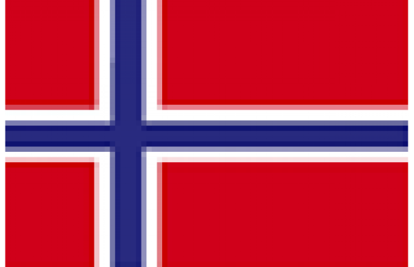 BANDIERA NORVEGIA 30X45 IN STAMINA