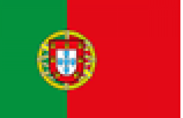 BANDIERA PORTOGALLO 30X45 IN STAMINA