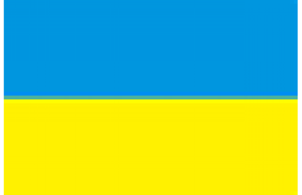 BANDIERA UCRAINA 30X45 IN STAMINA