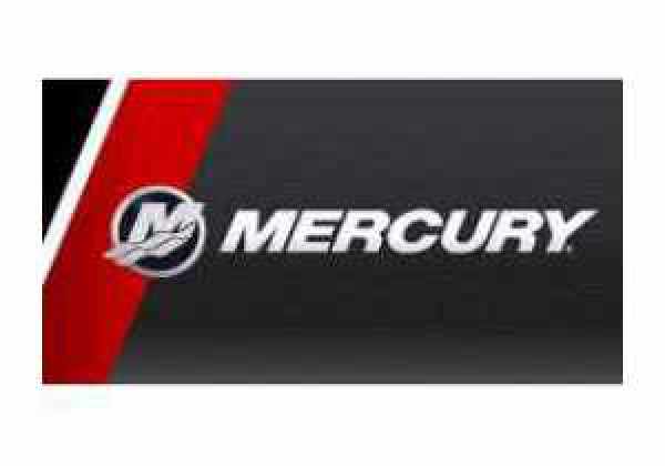 O-RING MERCURY 89224